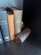 Louis Vuitton Papillon Mini